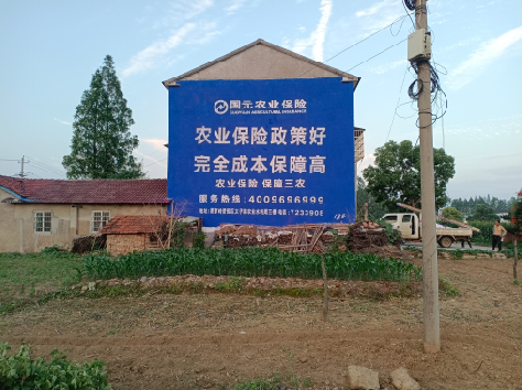 京山墙体广告的优劣势你知道吗？